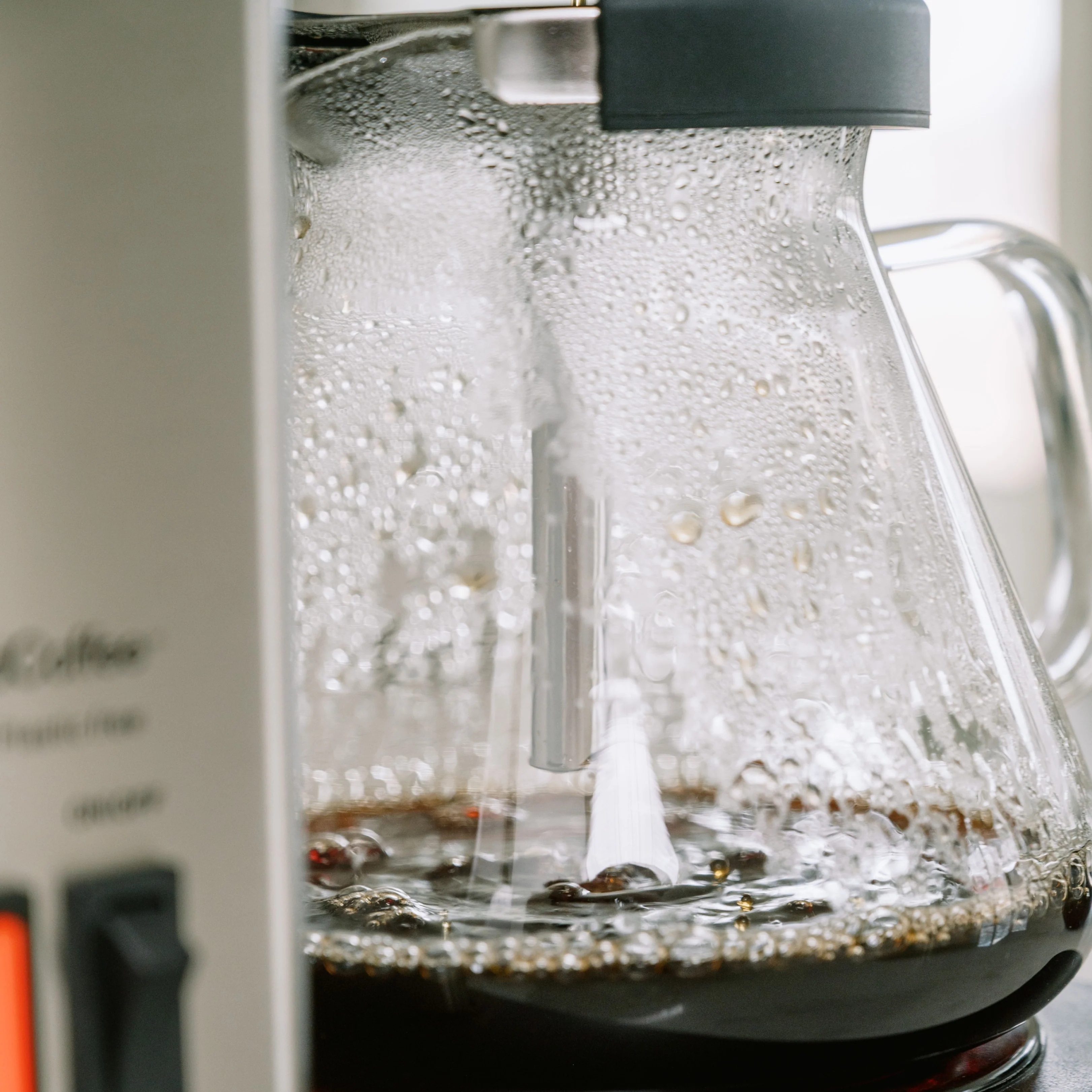 THE BREWER - Plastic-free - Image 3