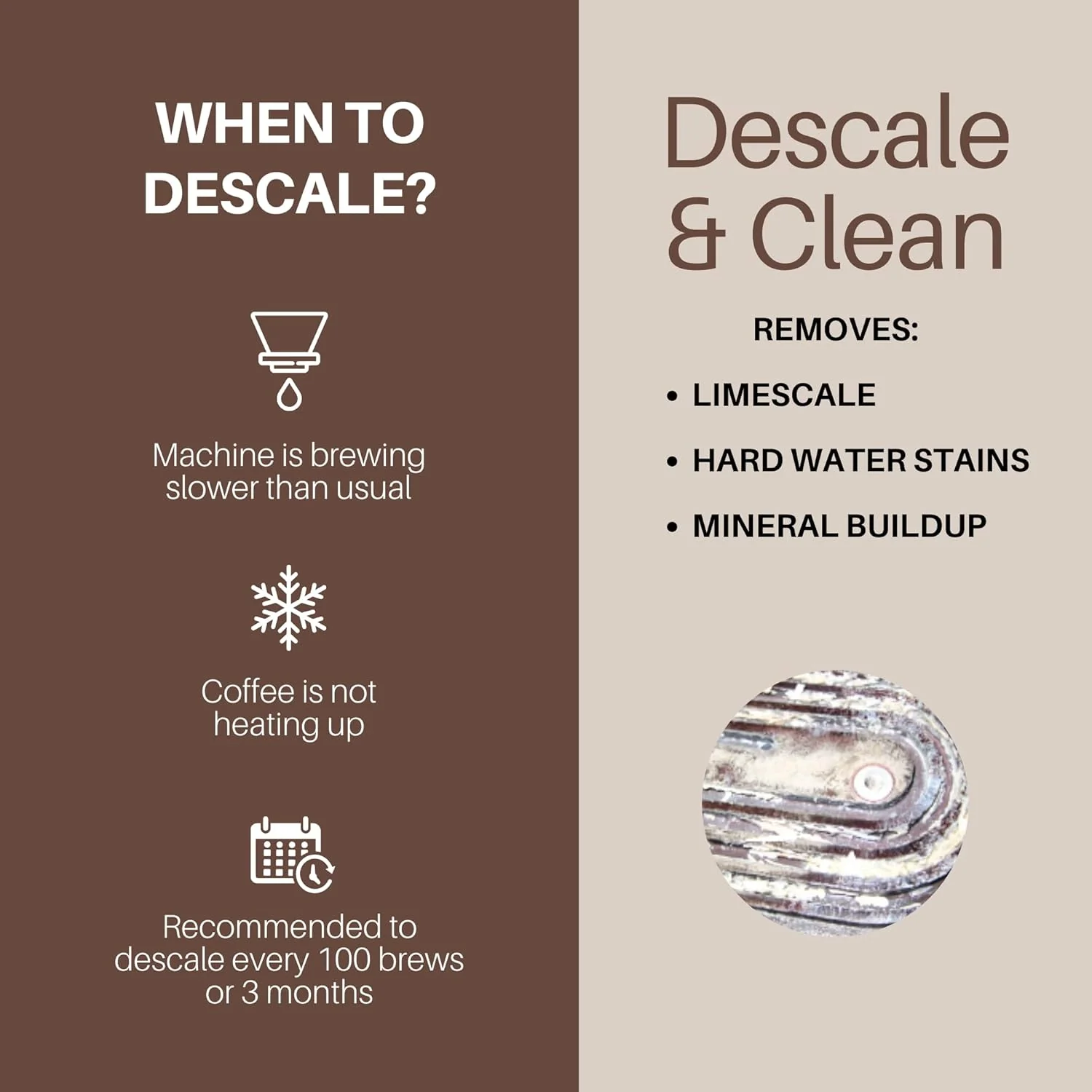 The Descaler-12 Month Supply (4 packs) - Image 4